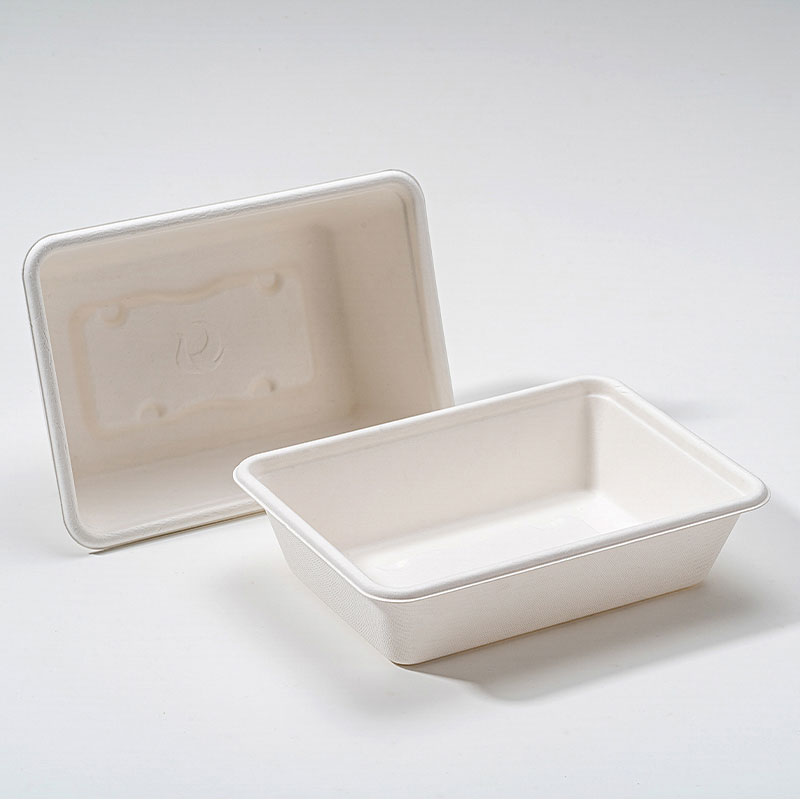 Miksi Bagasse Square Box on kestävän elintarvikepakkauksen tulevaisuus?